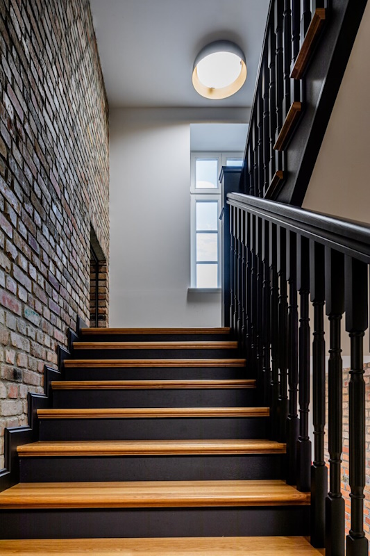 Pit Bull West Coast W Biedrusku 16